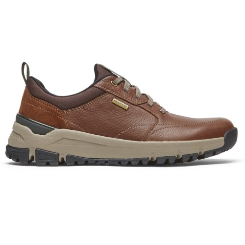 Rockport Glastonbury Ubal Waterproof Men's Sneakers Dark Brown | G4PUX-PH