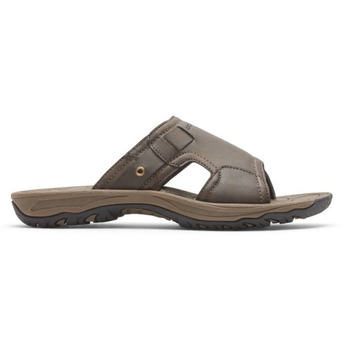 Rockport Hayes Men's Slides Brown | LPIT4-PH